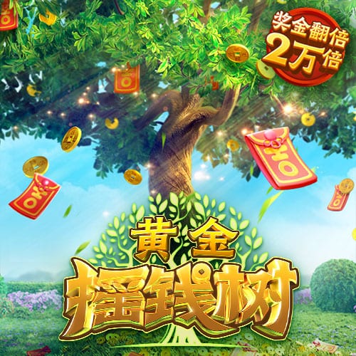 上海申花3:3（点球7:8）河南 Match Day比赛日纪实